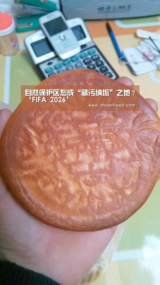 自然保护区怎成“藏污纳垢”之地?‘FIFA 2026’(图4) FIFA 2026